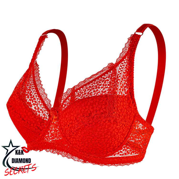 Sutiã Territóri uman Romântica Sensual e Safada - 50% DE DESCONTO + FRETE GRÁTIS !